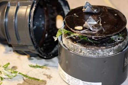 Residential Garbage Disposal Repair - 3